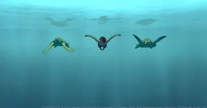 La tartaruga rossa - Immagine: 2