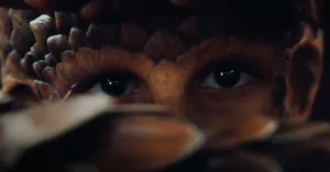 The Animal Kingdom - Immagine: 1