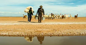 Utama. Le terre dimenticate - Immagine: 2