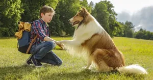 Lassie torna a casa - Immagine: 1